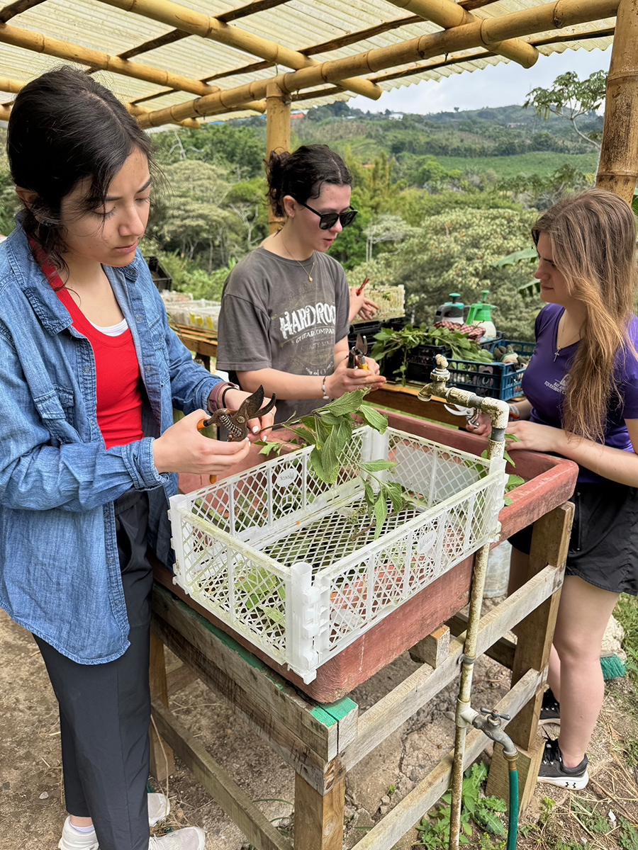 Students farming in Costa Rica