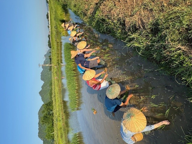 Students working the fiels in Vietnam