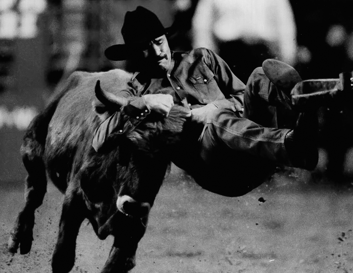 rideon1.jpg Rodeo cowboy with a bull by the horns