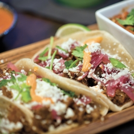 This is alt text for the image This is alt text for the image